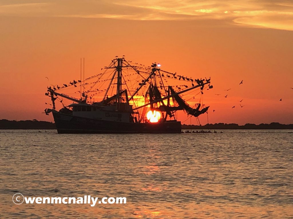 Tybee Island Local Shrimp boat coming in from a day of shrimping. 