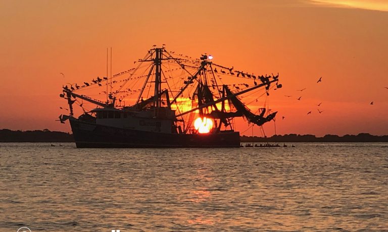 Discover Tybee Island’s Shrimp Delights: A Culinary Journey